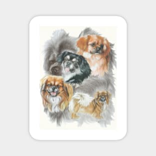 Tibetan Spaniel Magnet