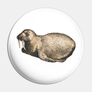 Baby walrus Pin