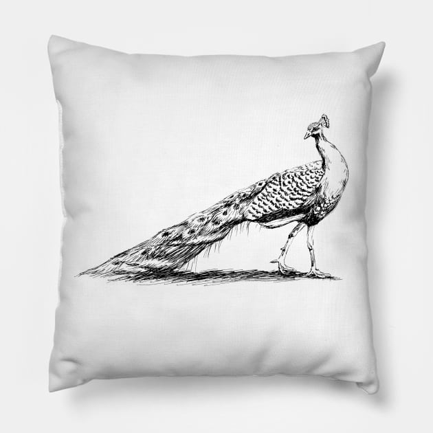 Black and White Peacock Print Pillow by rachelsfinelines