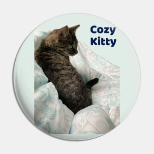 Cozy Kitty Pin