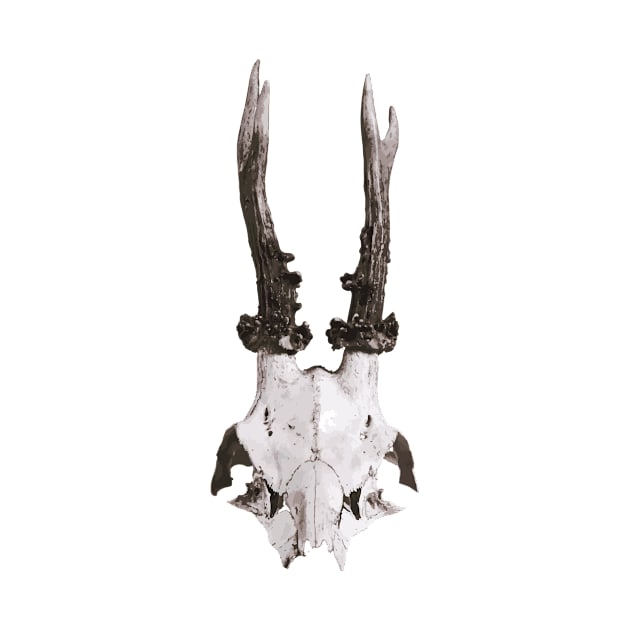 Deer Skull by Xilie