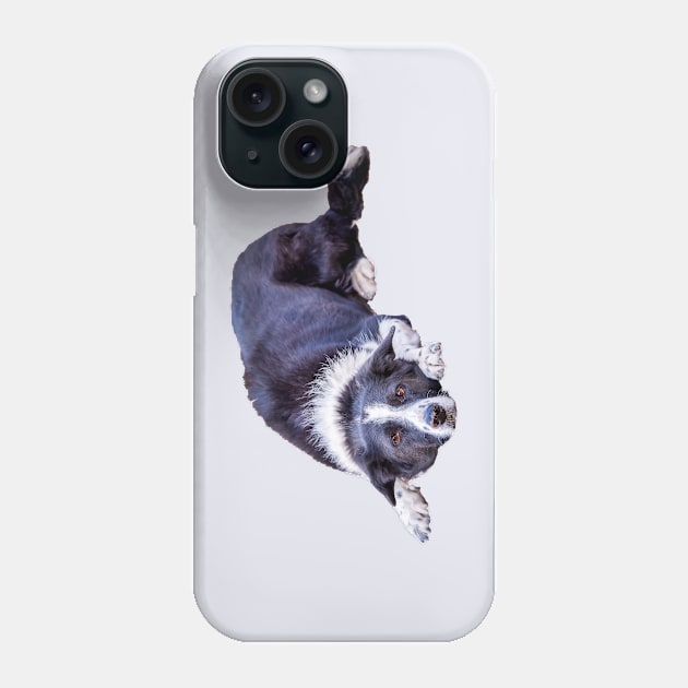 Border Collie Lying Down Playing Fetch Phone Case by Amy-K-Mitchell