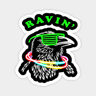 Ravin Raven Magnet