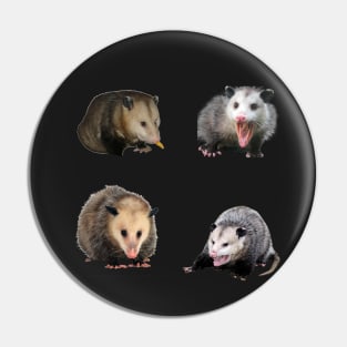 Possum Sticker Pack Pin