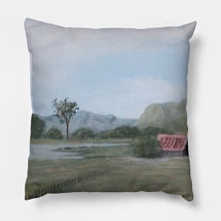 'Down By The Old Shed' Pillow