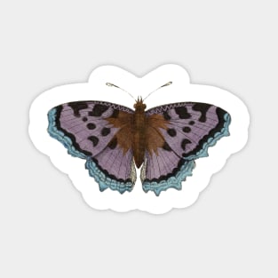 Beautiful Purple Tortoise Shell Butterfly Magnet