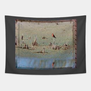 Vermillion Flycatcher and Reflection Framed Tapestry