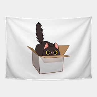 Cat in the box Tapestry