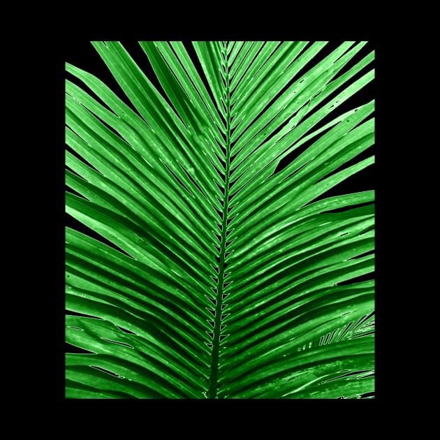 TROPICAL PALM LEAF by GOTOCREATE