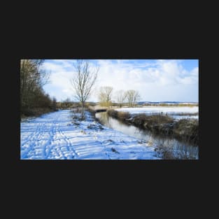 Winter Stroll by the River T-Shirt