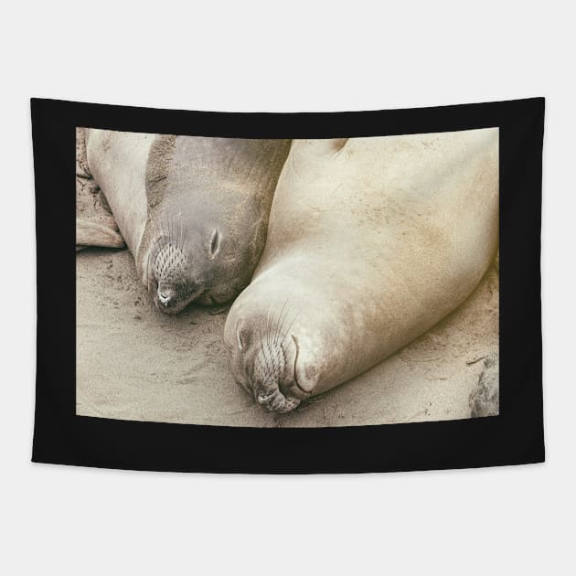 Buddies Tapestry by jvnimages