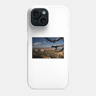 WGC_3570 Phone Case