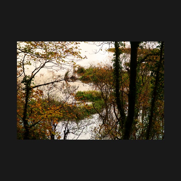 Autumn Trees In Water Logged Wetland by Harmony-Mind