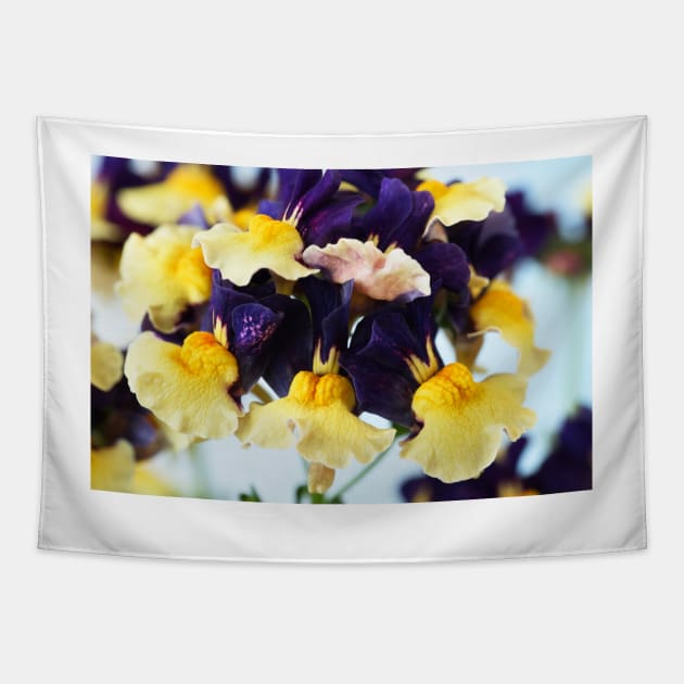 Nemesia  Aroma Plums &amp; Custard  Aroma Series Tapestry by chrisburrows