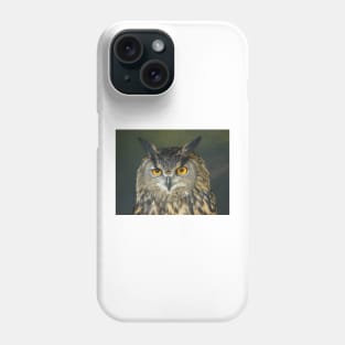 European Eagle Owl Phone Case