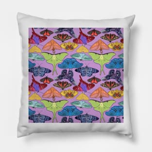 Pride Moth for Pride Month Lilac Rainbow Moth Pillow