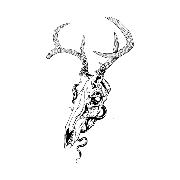 deer skull by Yaroslav Tkach