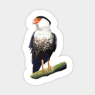 Crested Caracara Bird Magnet