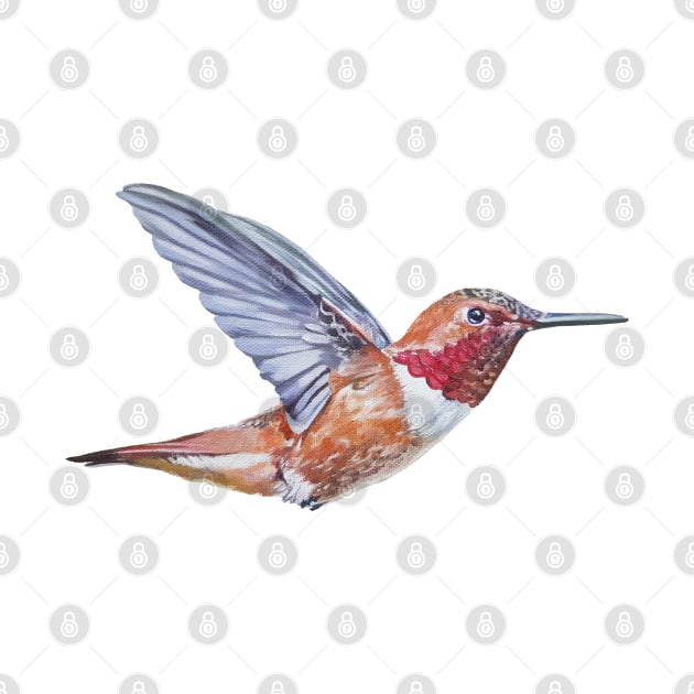 Rufous Hummingbird painting - no background by EmilyBickell