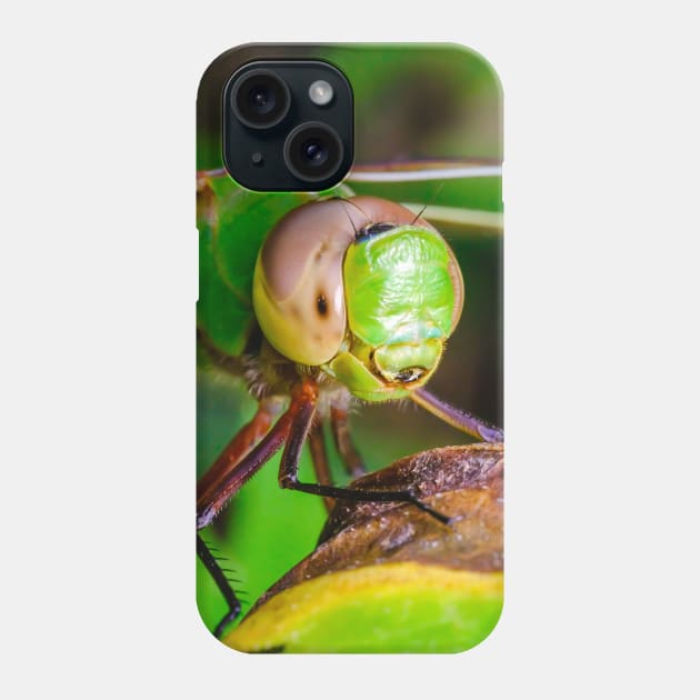 Dragonfly Smile, Macro Photograph Phone Case by love-fi