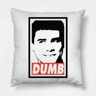 DUMB Pillow