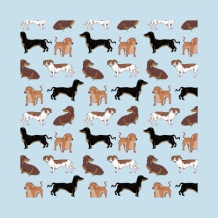 Dachshund Pattern T-Shirt