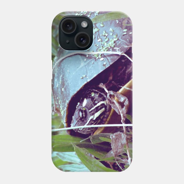 Turtle Phone Case by saradaboru