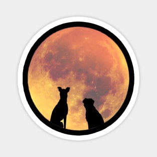 Apathecary's Moon Dogs Magnet
