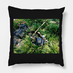 Water Basin in a Japanese Garden Pillow