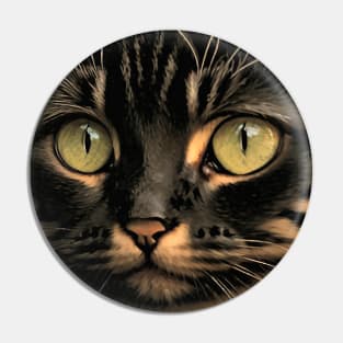 Beautiful Cats Cute Kittens Pin