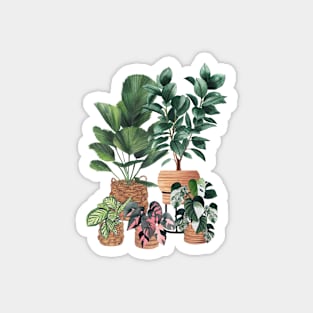 House Plants 50.1 Magnet