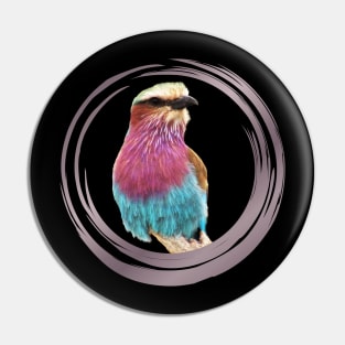 Lilac breasted Roller - Bird - Graphic - Bird in Africa Pin