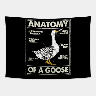 Anatomy Of A Goose Funny Nurse Gift Tapestry