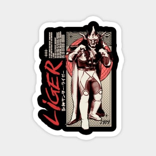 Shooting Star Magnet