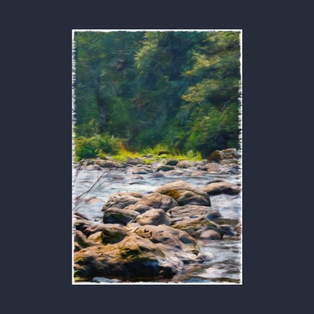 stone path over shallow river in woods by Taya Johnston