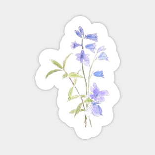 bluebell and violet ink and watercolor Magnet