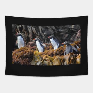Snares Crested Penguins Tapestry