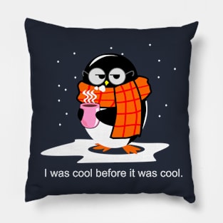 I was cool before it was cool. Pillow