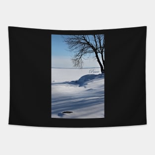 Frozen Lookout. Tapestry