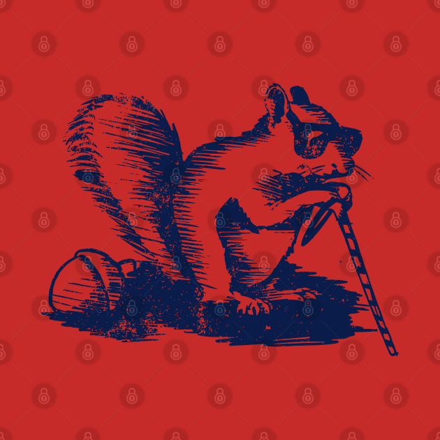 blind squirrel blind squirrel