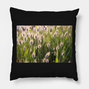 Grain saighe Pillow