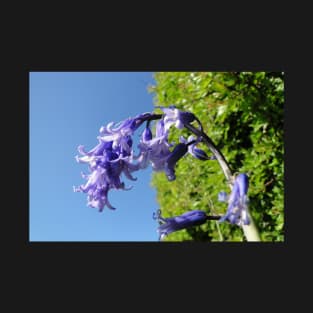 Look up - Blue Skies, Bluebells T-Shirt