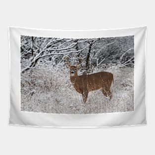 White-tailed deer buck in snow Tapestry