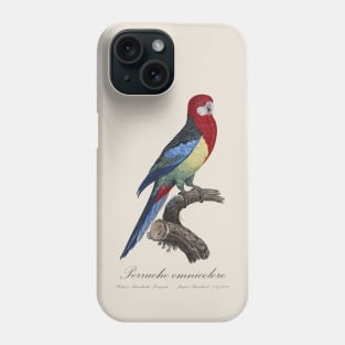 Eastern Rosella Parakeet / Perruche Omnicolore - 19th century Jacques Barraband Illustration Phone Case