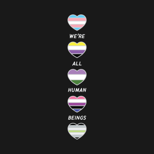 Pride Trans Enby Pride Non Binary Genderfluid Agender Genderqueer We're All Human Beings T-Shirt