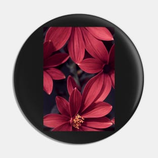 Beautiful Red Burgundy Flowers, for all those who love nature #103 Pin