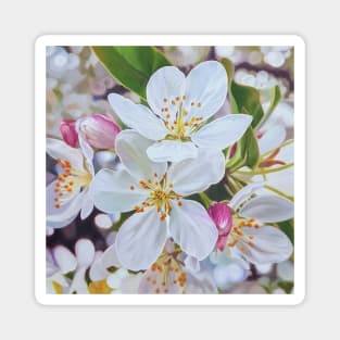 Anticipation - Spring Flower painting Magnet