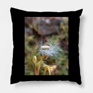 Litte ladybug in dandelion Pillow