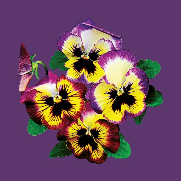 Bunch of Pansies by SusanSavad