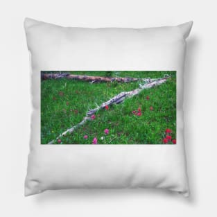 Mountain Meadow  Wildflowers Pillow